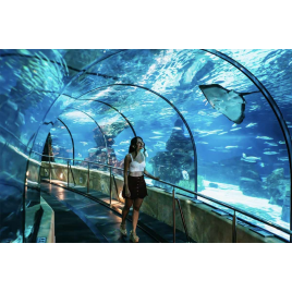 AQUARIUM DE BARCELONA - PROMOTION