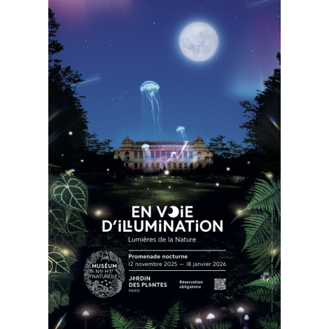 En voie d'illumination, Paris 