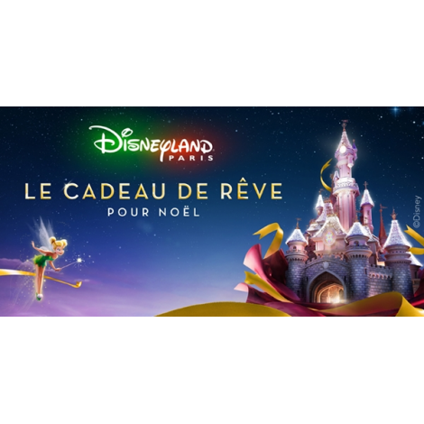DISNEY DATE 1 JOUR OFFRE CSE PROMO ENFANT DATE 1 JOUR, Marne-la-Vallée 