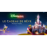 DISNEY DATE 1 JOUR OFFRE CSE PROMO ENFANT DATE 1 JOUR, Marne-la-Vallée 
