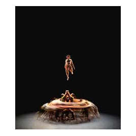 Collectif XY - le pas du monde 