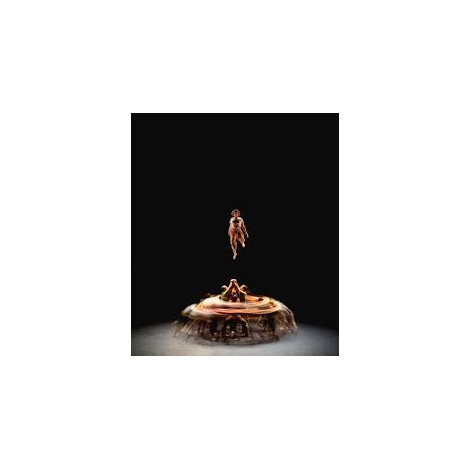 Collectif XY - le pas du monde 