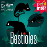 Le carnaval des bestioles 
