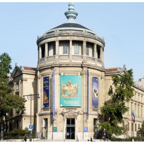 Musée guimet : COLL. PERMANENTES & EXPO. TEMPORAIRES