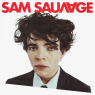 SAM SAUVAGE, Castres, le 28/05/2026
