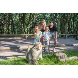 La Montagne Des Singes, Kintzheim 