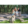 La Montagne Des Singes, Kintzheim 