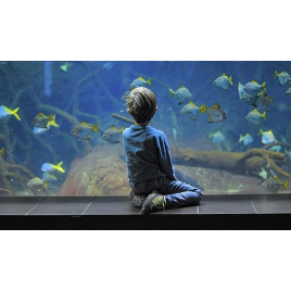 Oniria, Canet-en-Roussillon 