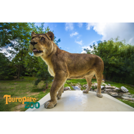 Touro zoo parc, Romanèche-Thorins 