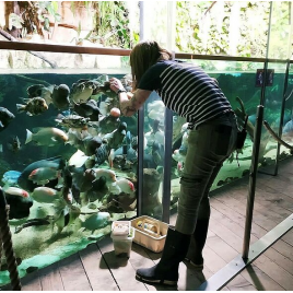 Grand Aquarium de Saint-Malo, Saint-Malo 