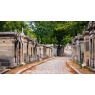 Visite Guidée : Les mystères du Père Lachaise, Paris  