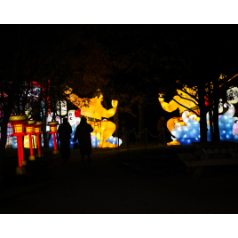 LE FESTIVAL DES LANTERNES