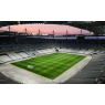 Visite guidée : Les coulisses du Stade de France, Saint-Denis La Plaine 