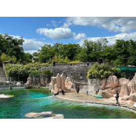 Zoo d'Amneville, Amneville 