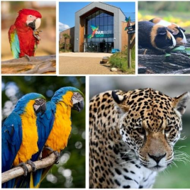 Parrot World, Crécy La Chapelle 