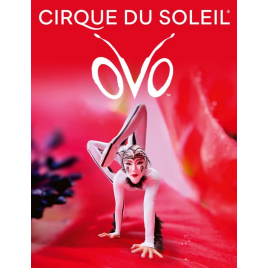 CIRQUE DU SOLEIL - OVO
