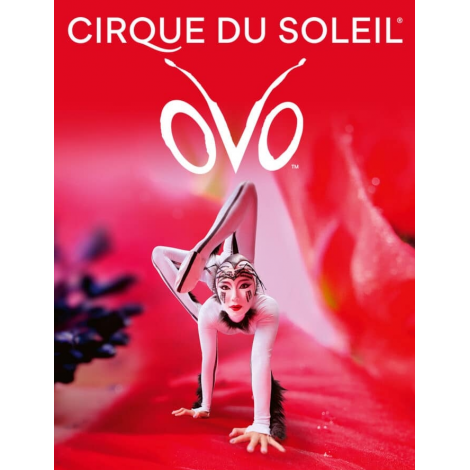 CIRQUE DU SOLEIL - OVO, Chasseneuil-du-Poitou 