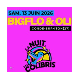 LA NUIT DES COLIBRIS - BIGFLO & OLI