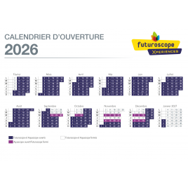 FUTUROSCOPE (billet valable toute la saison)