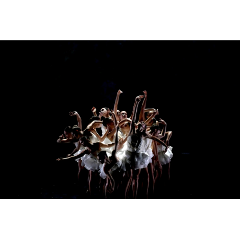 Les Nuits de Fourvière : Le Lac des cygnes, Lyon, le 17/06/2026