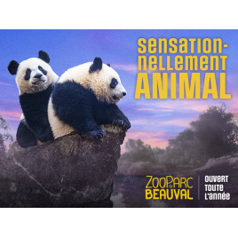 Zoo Parc de Beauval, Saint-Aignan-sur-Cher 