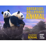 Zoo Parc de Beauval, Saint-Aignan-sur-Cher 