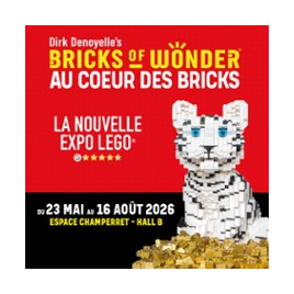 BRICKS OF WONDER / OPEN