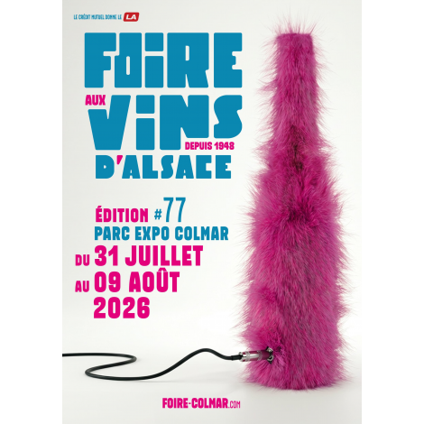 LA FAV DERAILLE ! EDITION 3, Colmar 