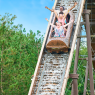 WALYGATOR SUD-OUEST - 1 JOUR / 2 PARCS, Roquefort 