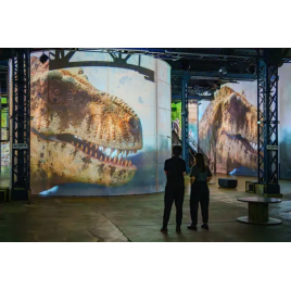 L'atelier des lumières, Paris 