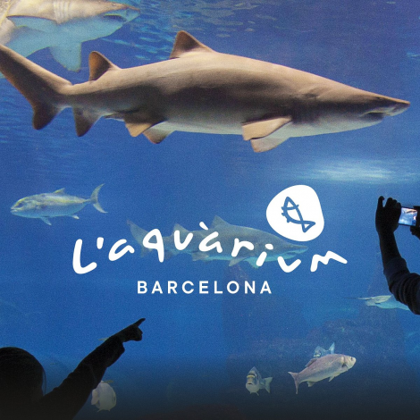 AQUARIUM DE BARCELONA, Barcelone 