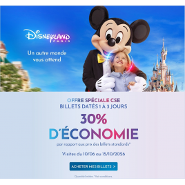 DISNEY OFFRE DATE 1 JOUR CSE