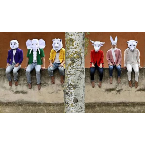 Le carnaval des animaux 