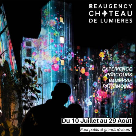 LUMIÈRES DE LOIRE, Beaugency 