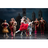 Don Quichotte, Bordeaux, le 19/11/2026