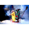 SLAVA'S SNOWSHOW, Lyon 