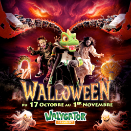 WALYGATOR GRAND EST
