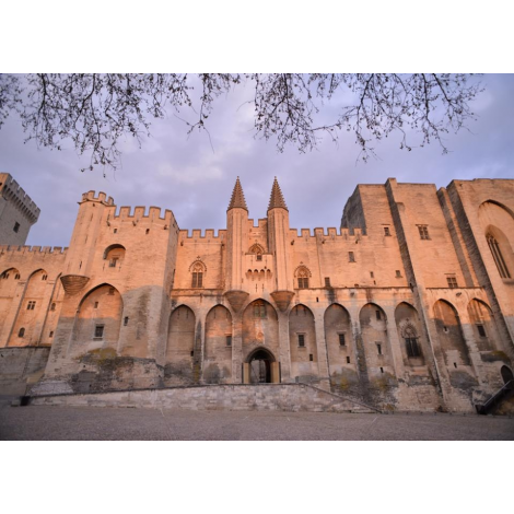 Palais Des Papes Et Pont Saint Benezet, Avignon 