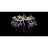 Ballet Preljocaj 