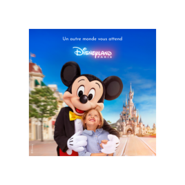 DISNEY BILLET BON PLAN DATE 1 JOUR