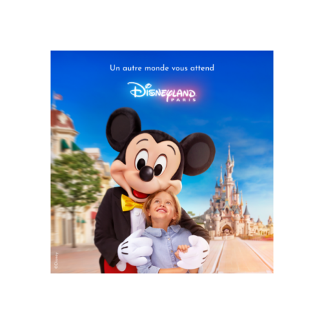 DISNEY BILLET CSE ECO 1 JOUR, Marne-la-Vallée 