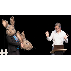 Le problème lapin : cartographie 7, Ollioules 