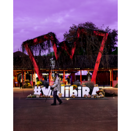WALIBI RHONE ALPES - billet 1 jour valable toute la SAISON 2026